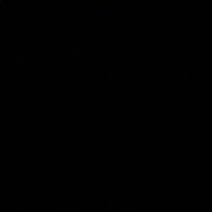 Meet your Posher, Ashley rae